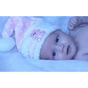 Karen Awender's photo
