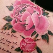 Martina Kisner's photo