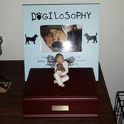 Brian Thorn's photo