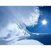 Lisa Witters's photo