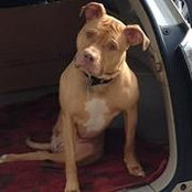 Suzi Lomker's photo