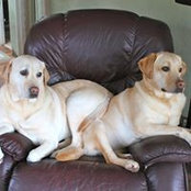 Lisa Milligan's photo