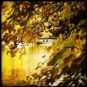 Jennifer Manvich's photo