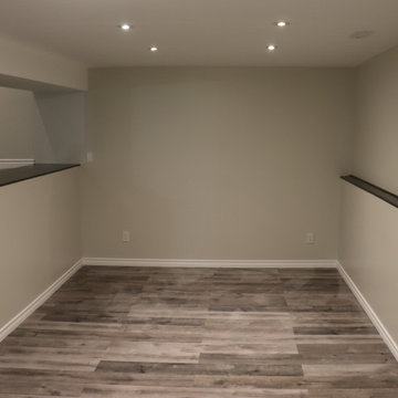 Ashford Project: Basement Renovation