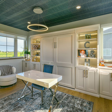 Office with murphy bed