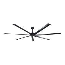 Ceiling Fans