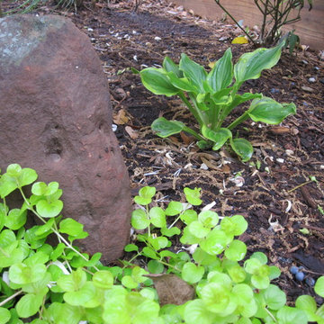 A wrap around garden with a fabulous water featurel!