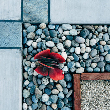 North Park Craftsman Xeriscape