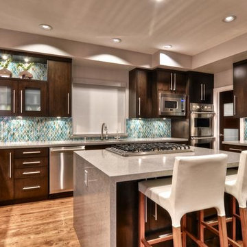 Modern kitchen cabinets Design Remodel