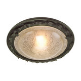 Leaf Flush Mount Ceiling Light