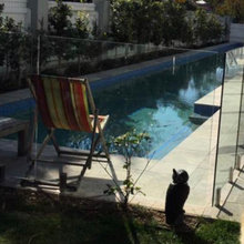 Pool Fence