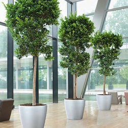 Modern Planter - Products
