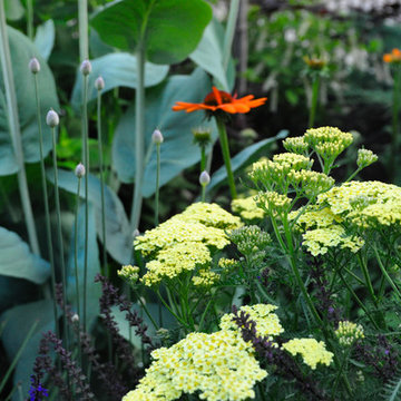 Urban Prairie- German Village