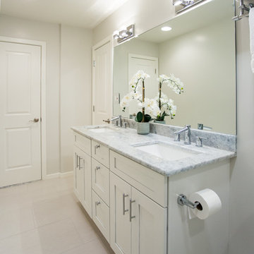 Reston Basement Bathroom Retreat