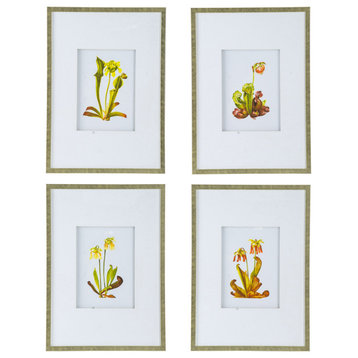 Botanical Wall Accent, Multi