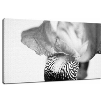 Bold Iris on White Black & White Floral Photo Canvas Wall Art Print, 24" X 36"