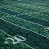Mohawk Home Football Yards Green, 5'x8' Area Rug