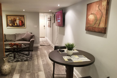 Full Basement Remodel