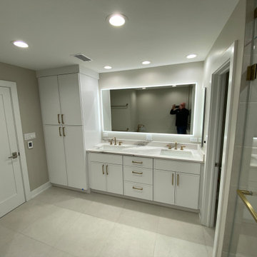Lincoln Park Elegant full home renovation