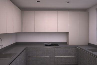 Design ideas for a contemporary kitchen in London.