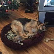 Debbie Croteau's photo