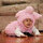 webuser_2240833