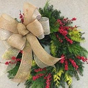 Suzanne Lynn's photo