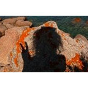 Emilie Orsini's photo