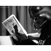 Mario Goncalves's photo