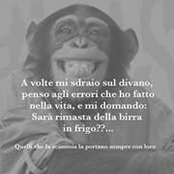 Paolo Tolu's photo