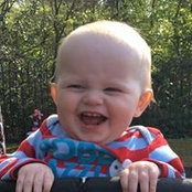 Anne Bradys foto