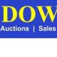 Dowen Auctions Sales & Lettings's profile photo