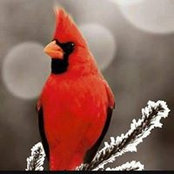 Malinda Deel's photo