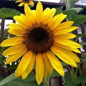 Trish Winter's photo