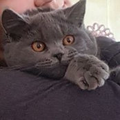 Foto von Maria Ivanova