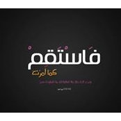 أحمد فتحى's photo