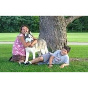 Jason Willits's photo