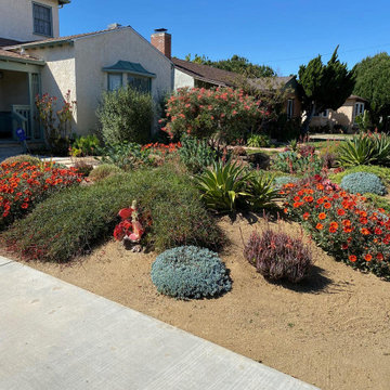 Bermed front yard