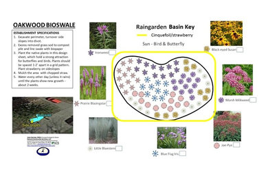 Rain Garden