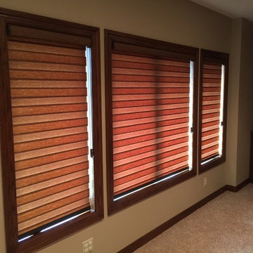 Allure Transitional Shades