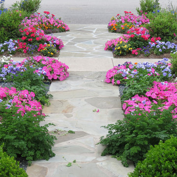Zero Lawn Xeriscape