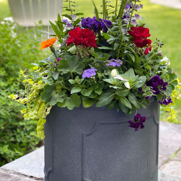 Summer Containers