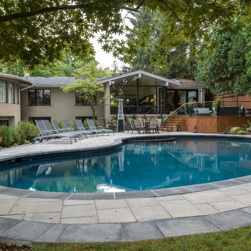 Contemporary Pool Area