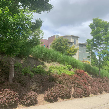 Pocket parks at Tumwater HOA