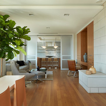 Luxury High Tech Condo