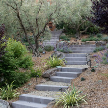 Front yard ideas