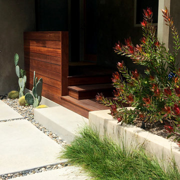 Mar Vista