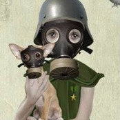 Daphne Abattoir's photo