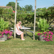 Ellen Buchney's photo