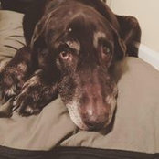 Brittany Moersch's photo